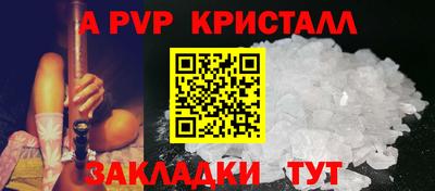 стаф Кунгур