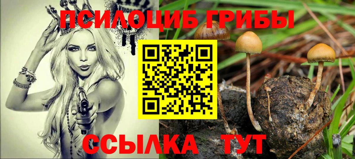 Псилоцибиновые грибы Psilocybine cubensis Ипатово