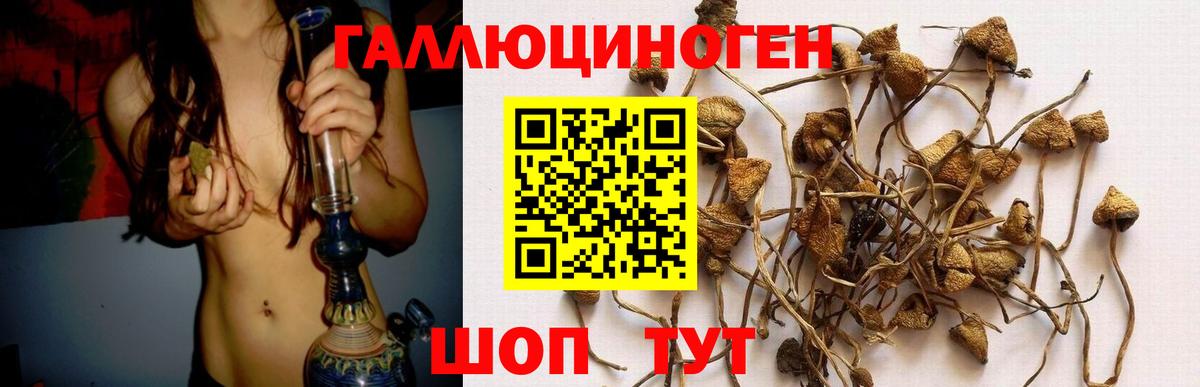 Ипатово  Галлюциногенные грибы GOLDEN TEACHER  Вход с VPN 